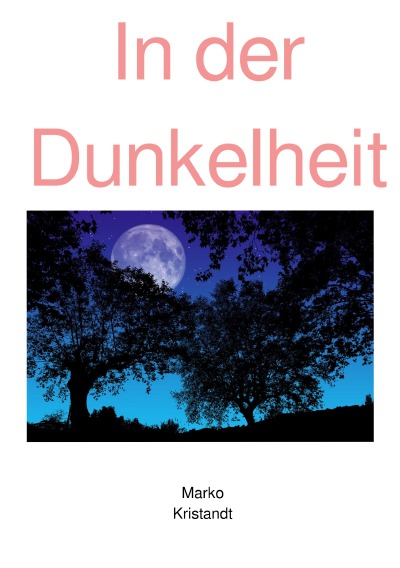 'Cover von In der Dunkelheit'-Cover