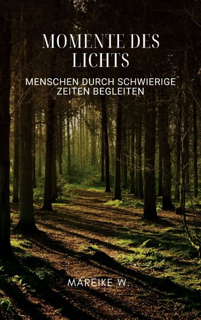 'Cover von Momente des Lichts'-Cover