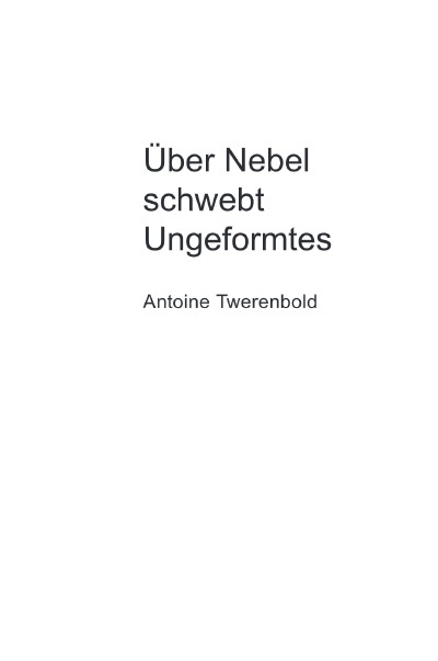 'Cover von Über Nebel schwebt Ungeformtes'-Cover