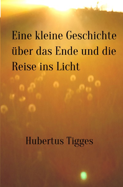 'Cover von Eine kleine Geschichte über das Ende und die Reise ins Licht'-Cover