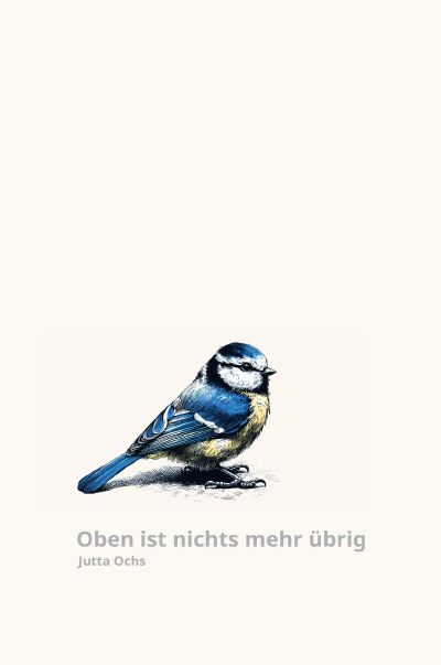 'Cover von Oben ist nichts mehr übrig'-Cover