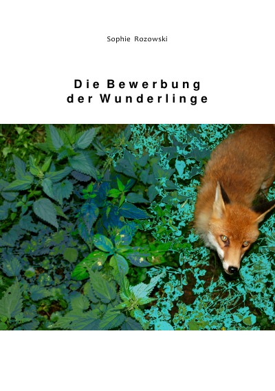 'Cover von Die Bewerbung der Wunderlinge'-Cover