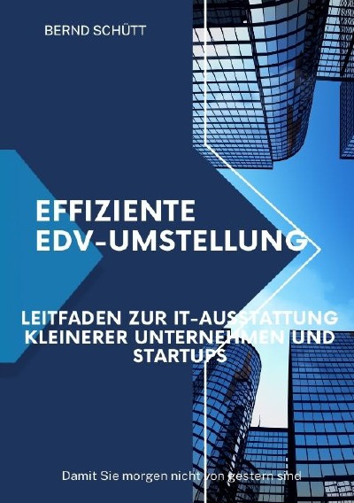 'Cover von Effiziente EDV-Umstellung'-Cover