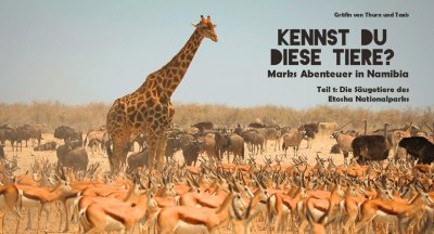 'Cover von Kennst Du diese Tiere?  Marks Abenteuer in Namibia'-Cover