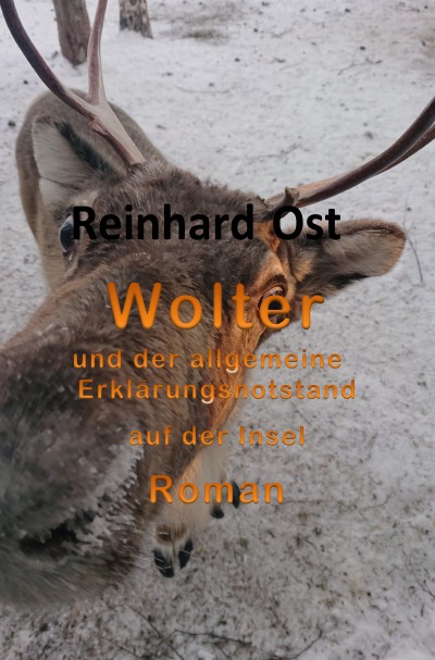 'Cover von Wolter'-Cover