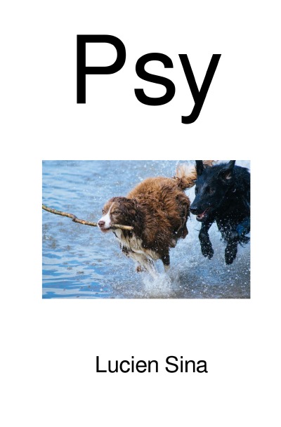 'Cover von Psy'-Cover