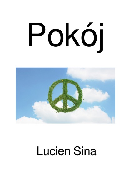 'Cover von Pokój'-Cover