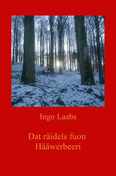 'Cover von Dat räidels fuon Hääwerbeeri – Das Rätsel von Haferberg'-Cover