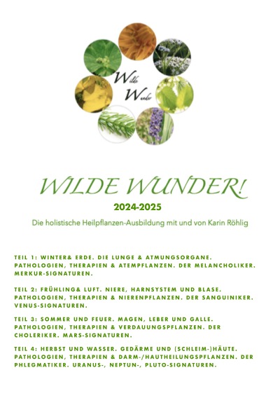 'Cover von Wilde Wunder! TAM – Traditionelle Abendländische Medizin. Ausbildungsjahr 1 komplett.'-Cover