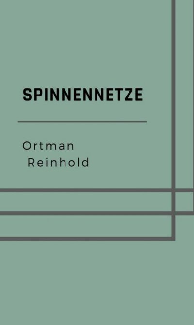 'Cover von Spinnennetze'-Cover