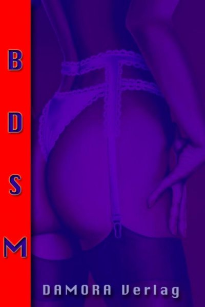 'Cover von Erotische Geschichten BDSM Band 2.'-Cover