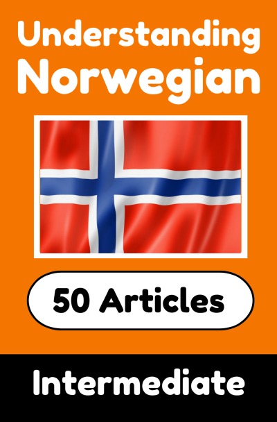 'Cover von Understanding Norwegian | Learn Norwegian language with 50 Interesting Articles About Countries, Health, Languages and More'-Cover