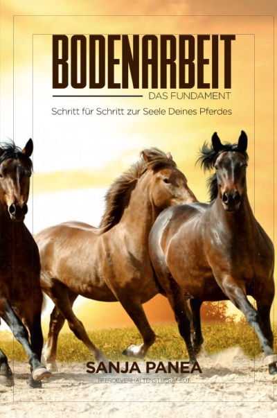 'Cover von Bodenarbeit das Fundament – Schritt für Schritt zur Seele Deines Pferdes'-Cover