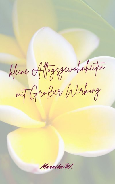 'Cover von kleine Alltagsgewohnheiten mit Großer Wirkung'-Cover