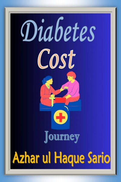 'Cover von Diabetes Cost Journey'-Cover