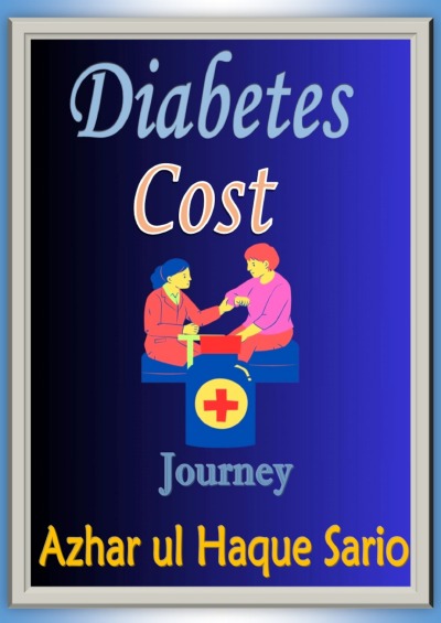 'Cover von Diabetes Cost Journey'-Cover