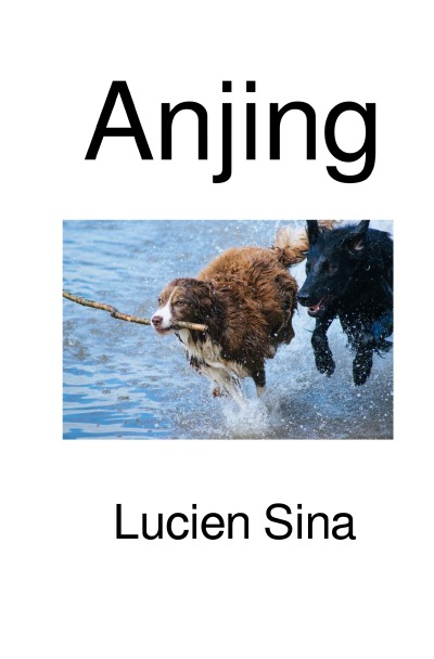 'Cover von Anjing'-Cover