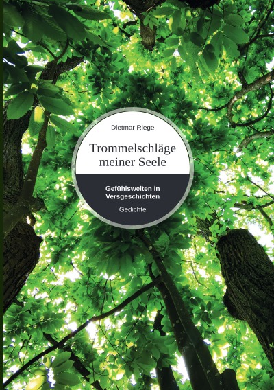 'Cover von Trommelschläge meiner Seele'-Cover