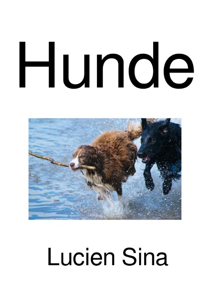 'Cover von Hunde'-Cover