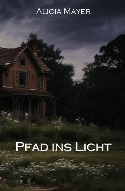 'Cover von Pfad ins Licht'-Cover