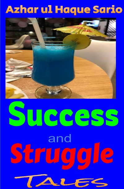 'Cover von Success and Struggle'-Cover