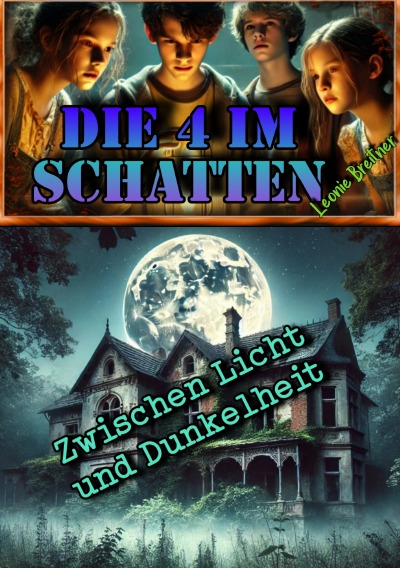 'Cover von Die 4 im Schatten: Zwischen Licht und Dunkelheit'-Cover