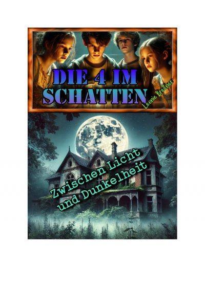 'Cover von Die 4 im Schatten: Zwischen Licht und Dunkelheit'-Cover