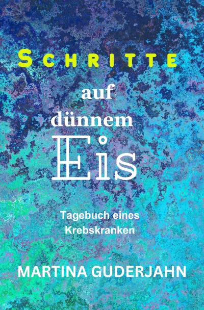 'Cover von Schritte auf dünnem Eis'-Cover