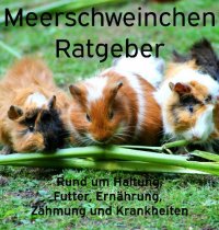 Meerschweinchen Ratgeber. - Rund um Haltung, Futter, Ernährung