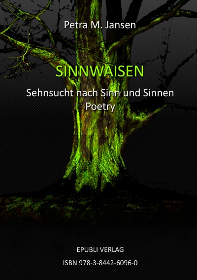 'Cover von SINNWAISEN'-Cover