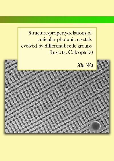 'Cover von Structure-property-relations of cuticular photonic crystals evolved by different beetle groups (Insecta, Coleoptera)'-Cover