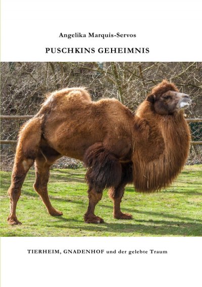 'Cover von PUSCHKINS GEHEIMNIS'-Cover