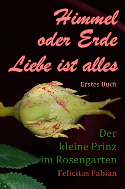 'Cover von Himmel oder Erde – Liebe ist alles – Band 1 – Der kleine Prinz im Rosengarten'-Cover