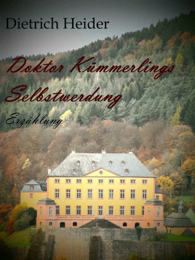 'Cover von Doktor Kümmerlings Selbstwerdung'-Cover