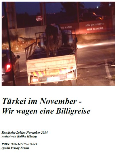 'Cover von Türkei im November – Wir wagen eine Billigreise'-Cover