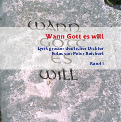 'Cover von Wann Gott es will – Band I'-Cover