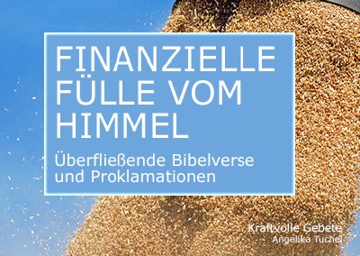 'Cover von Finanzielle Fülle vom Himmel'-Cover