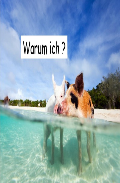 'Cover von Warum ich?'-Cover