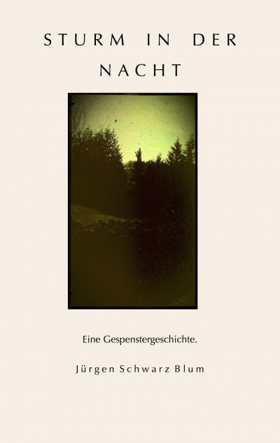 'Cover von Sturm in der Nacht'-Cover