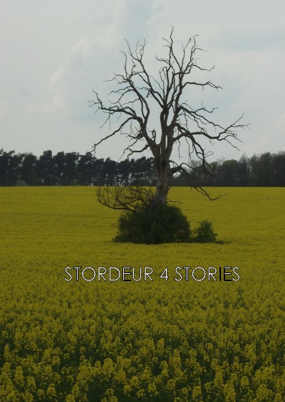 'Cover von 4 STORIES'-Cover