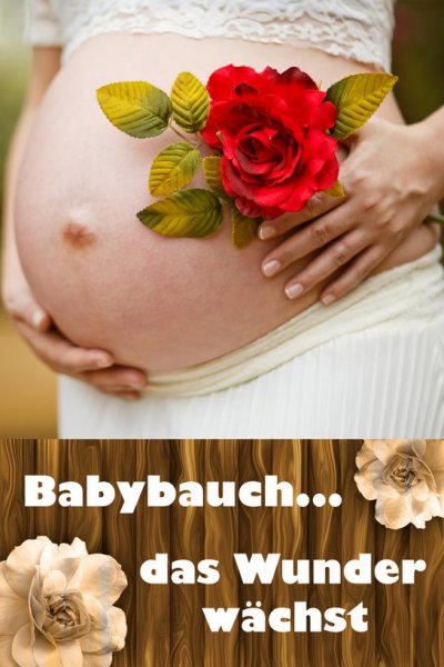 'Cover von Babybauch…das Wunder wächst'-Cover