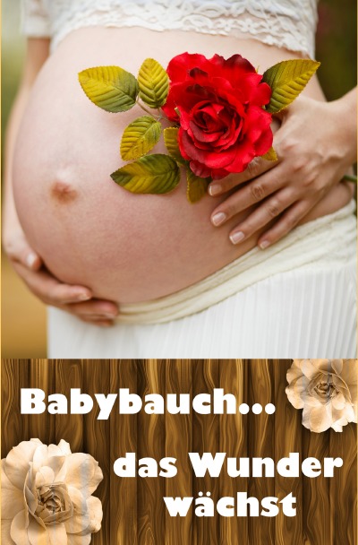 'Cover von Babybauch…das Wunder wächst'-Cover