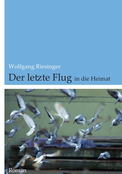 'Cover von Der letzte Flug'-Cover