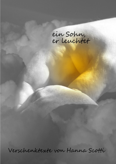 'Cover von ein Sohn, er leuchtet'-Cover