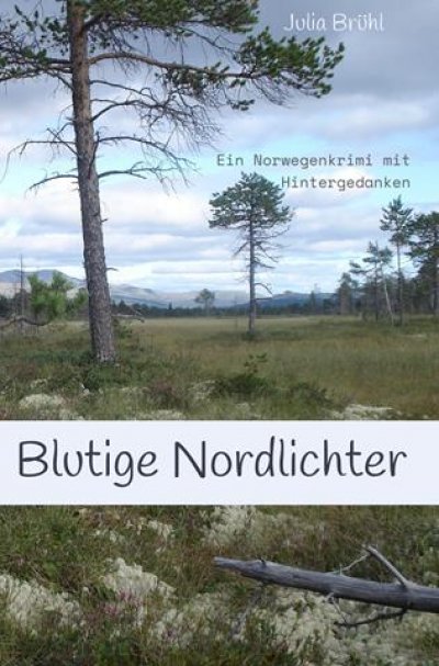 'Cover von Blutige Nordlichter'-Cover