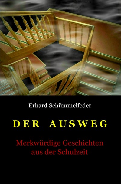 'Cover von Der Ausweg'-Cover