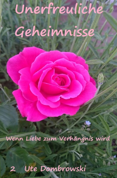 'Cover von Unerfreuliche Geheimnisse     2'-Cover