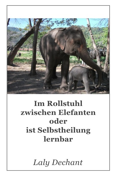 'Cover von Im Rollstuhl zwischen Elefanten oder ist Selbstheilung lernbar'-Cover