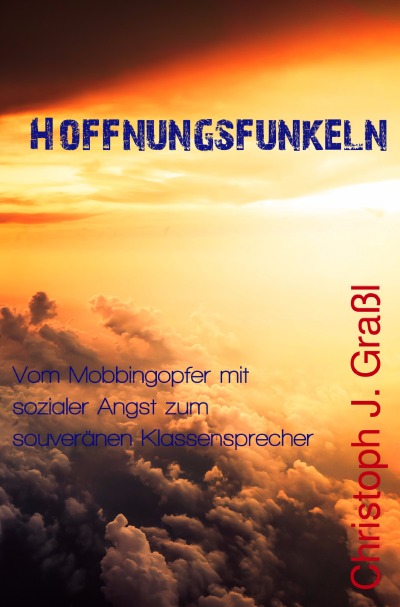 'Cover von Hoffnungsfunkeln'-Cover