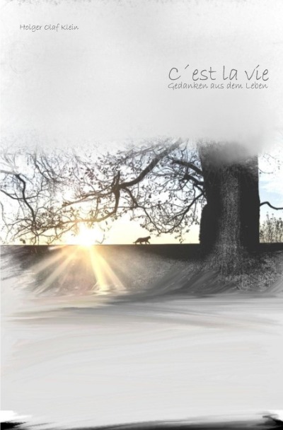 'Cover von C´est la vie'-Cover